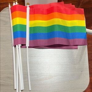 6 piece Rainbow Pride Flags for Parties new